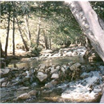 Motorcycle Ride Picture 1 for Enduro Lytle Creek to Devore